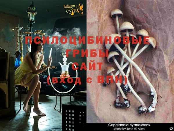 гидра Волосово