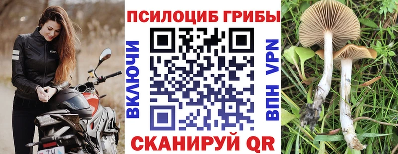 Галлюциногенные грибы GOLDEN TEACHER  купить наркоту  Сретенск 